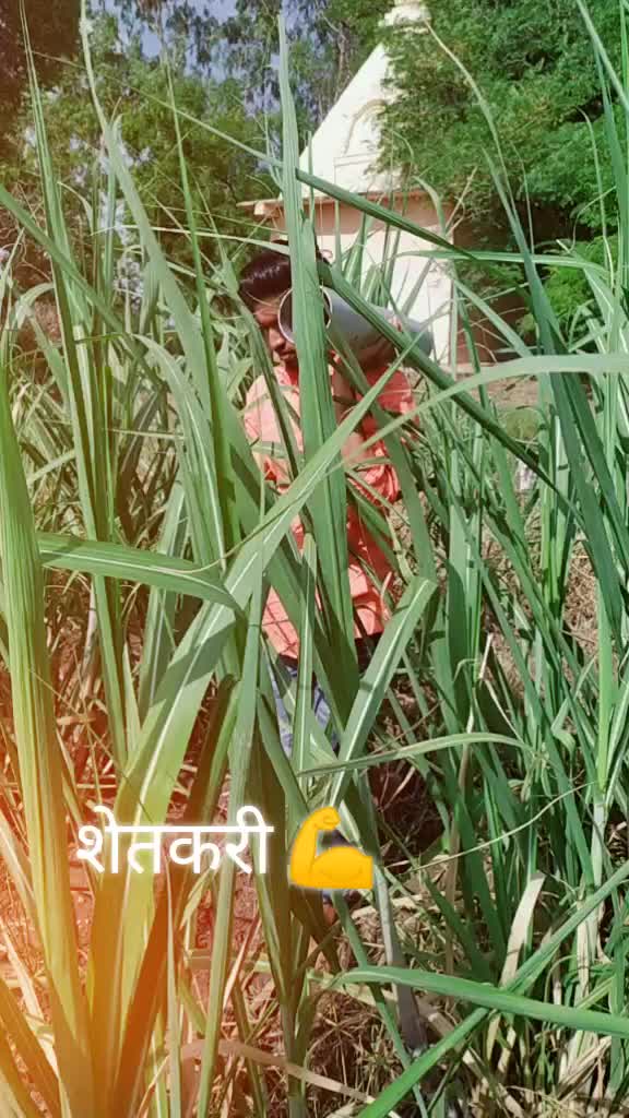 @Ravi Surase
