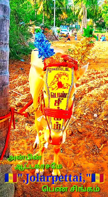 @கிருஷ்ணகிரிகாரன்டா☠☠