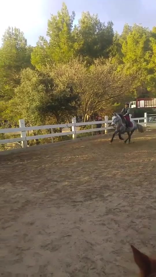 @🐴R&ecirc;ve Compulsif🐴