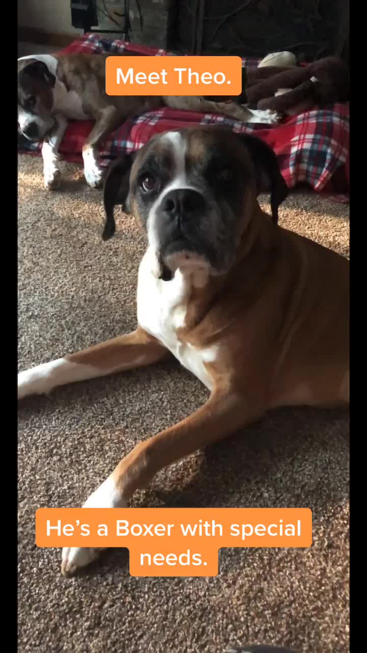 @C