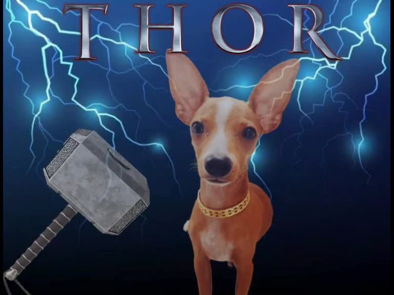 @Thor Dias Reis