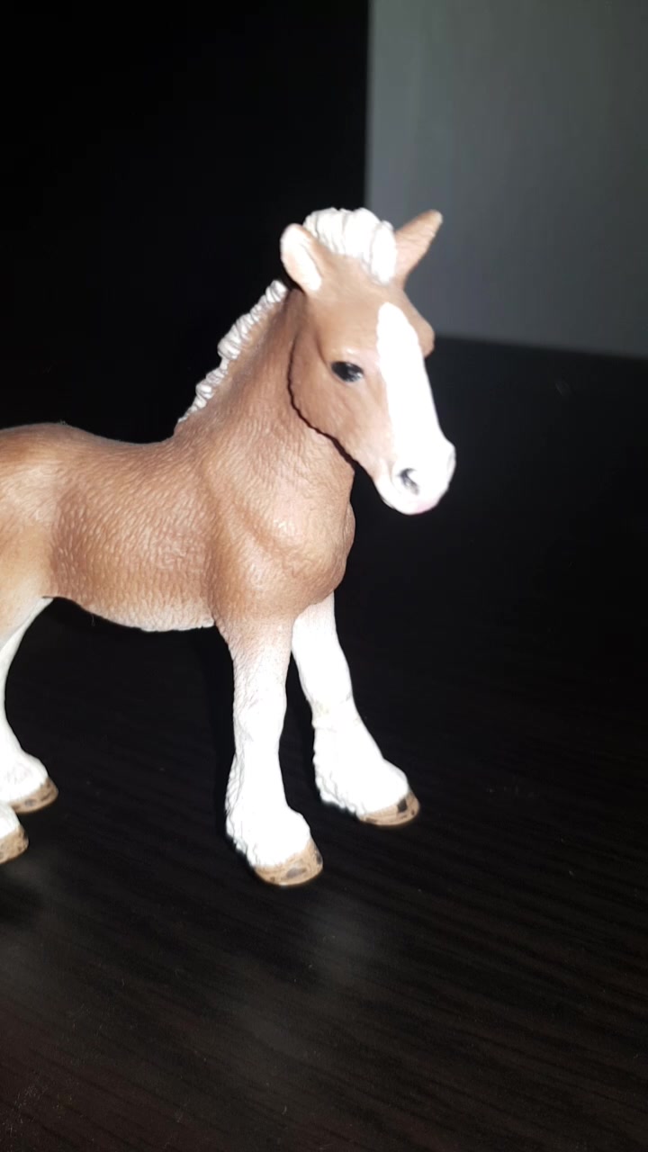 @schleich_welt
