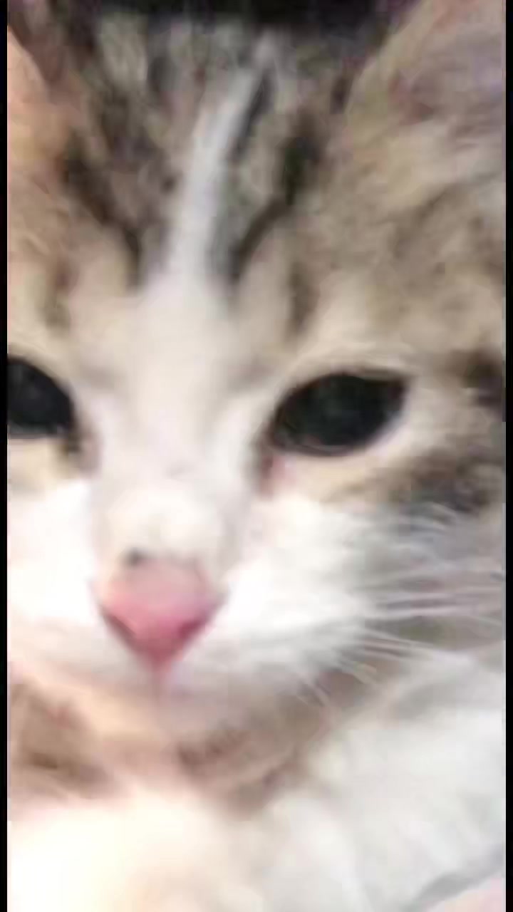@Joselyn de tu coraz&oacute;n