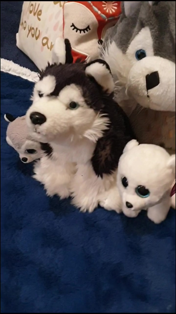 @Wolfy Ted