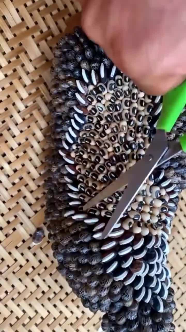 @tickyouu