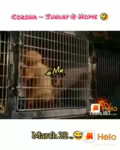 @sarathi