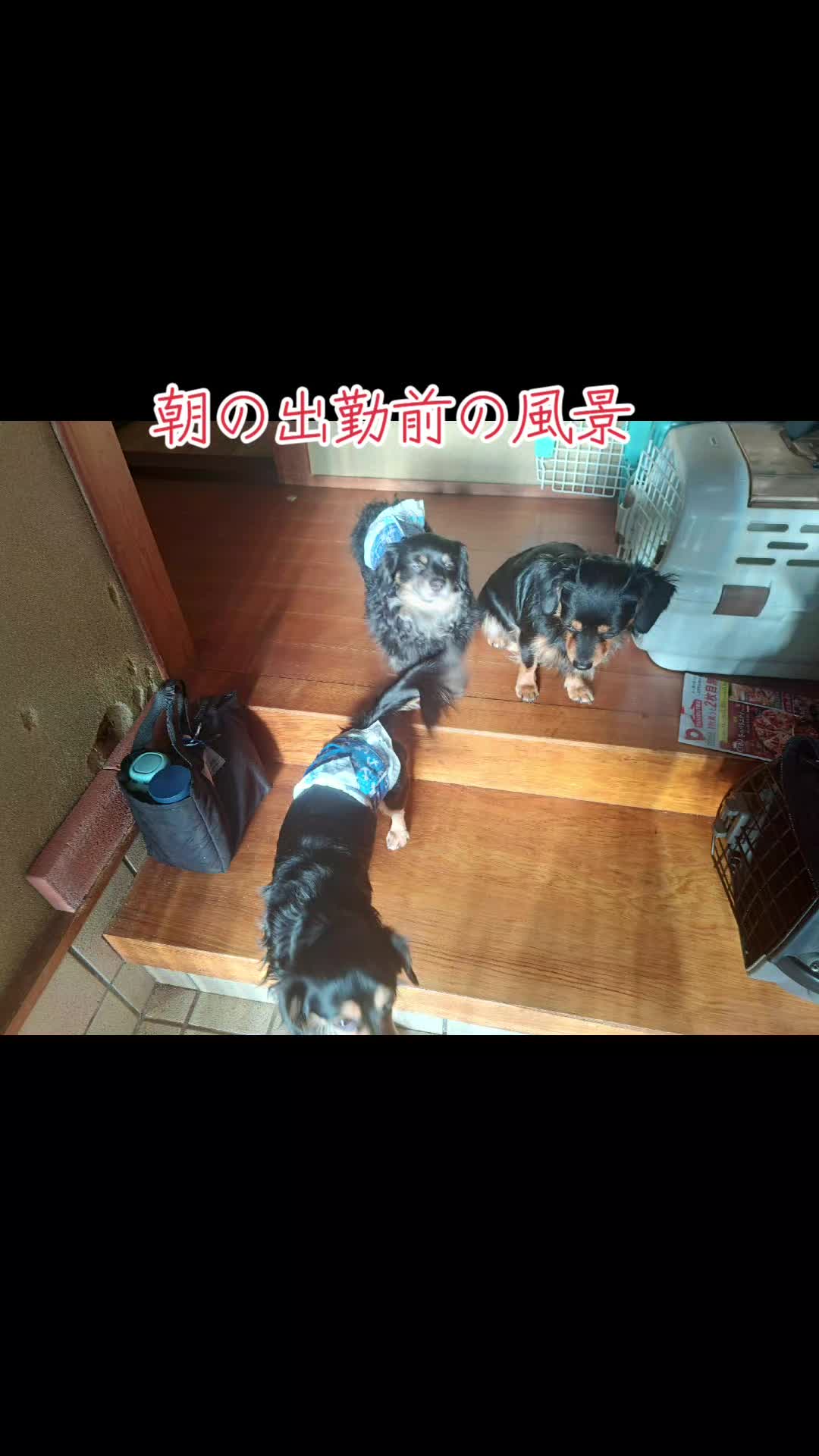 @タケヤッコ