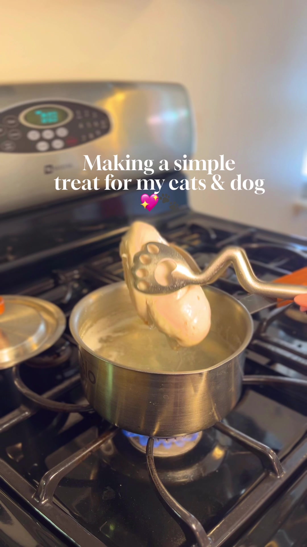 @happyhousecat