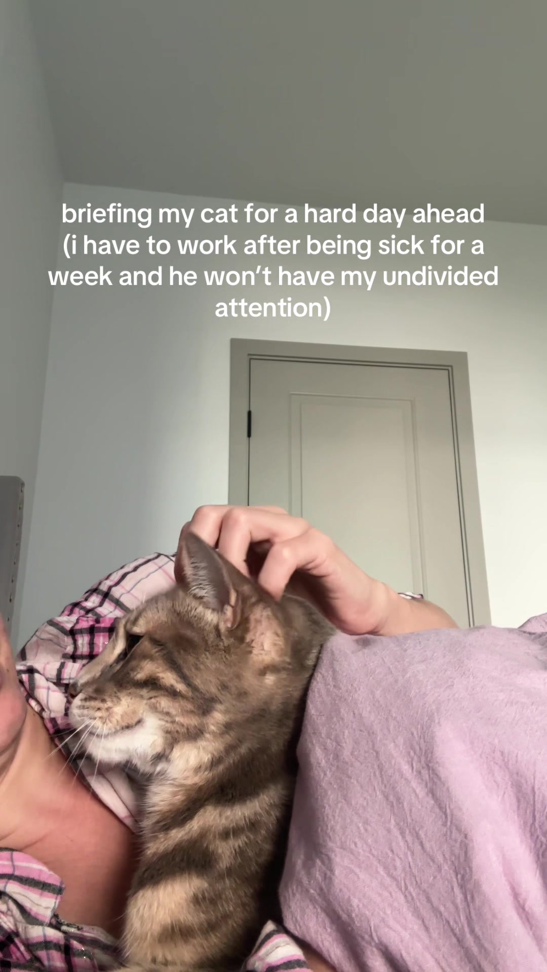 @Mochi the Bengal