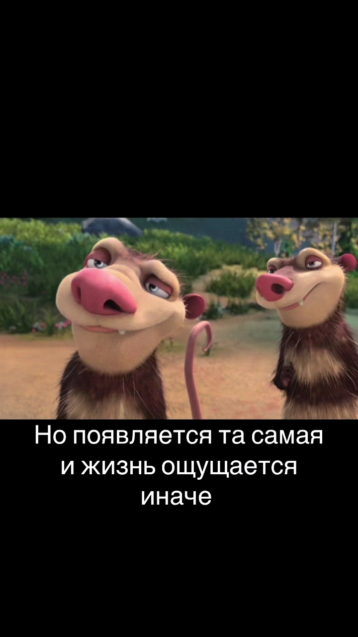 @Чиби
