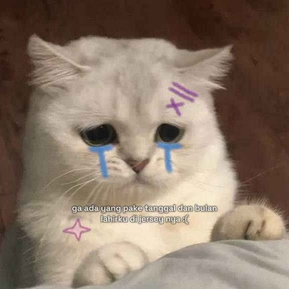 @𝘊𝘢𝘮𝘪𝘯𝘨𝘨
