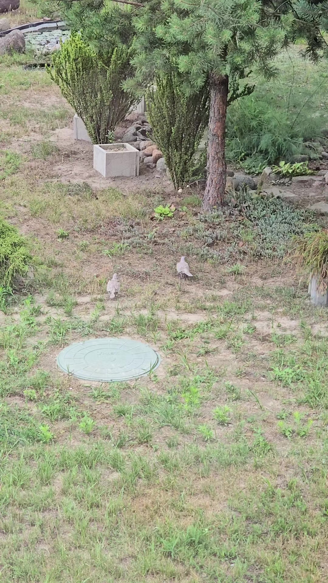 @Виктория