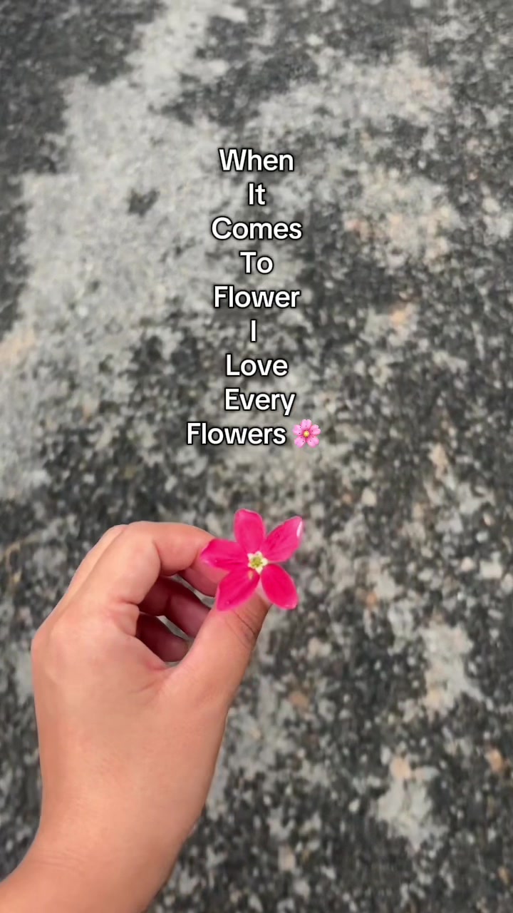 @Alina💙