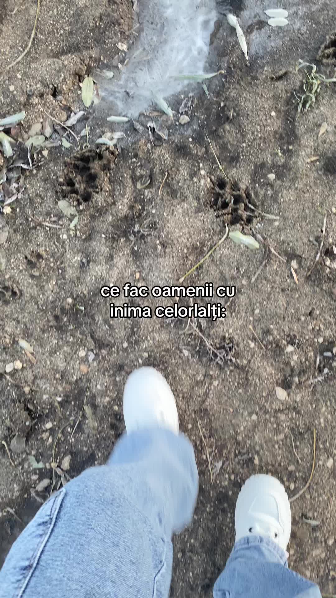 @Simoncik🫶🏻