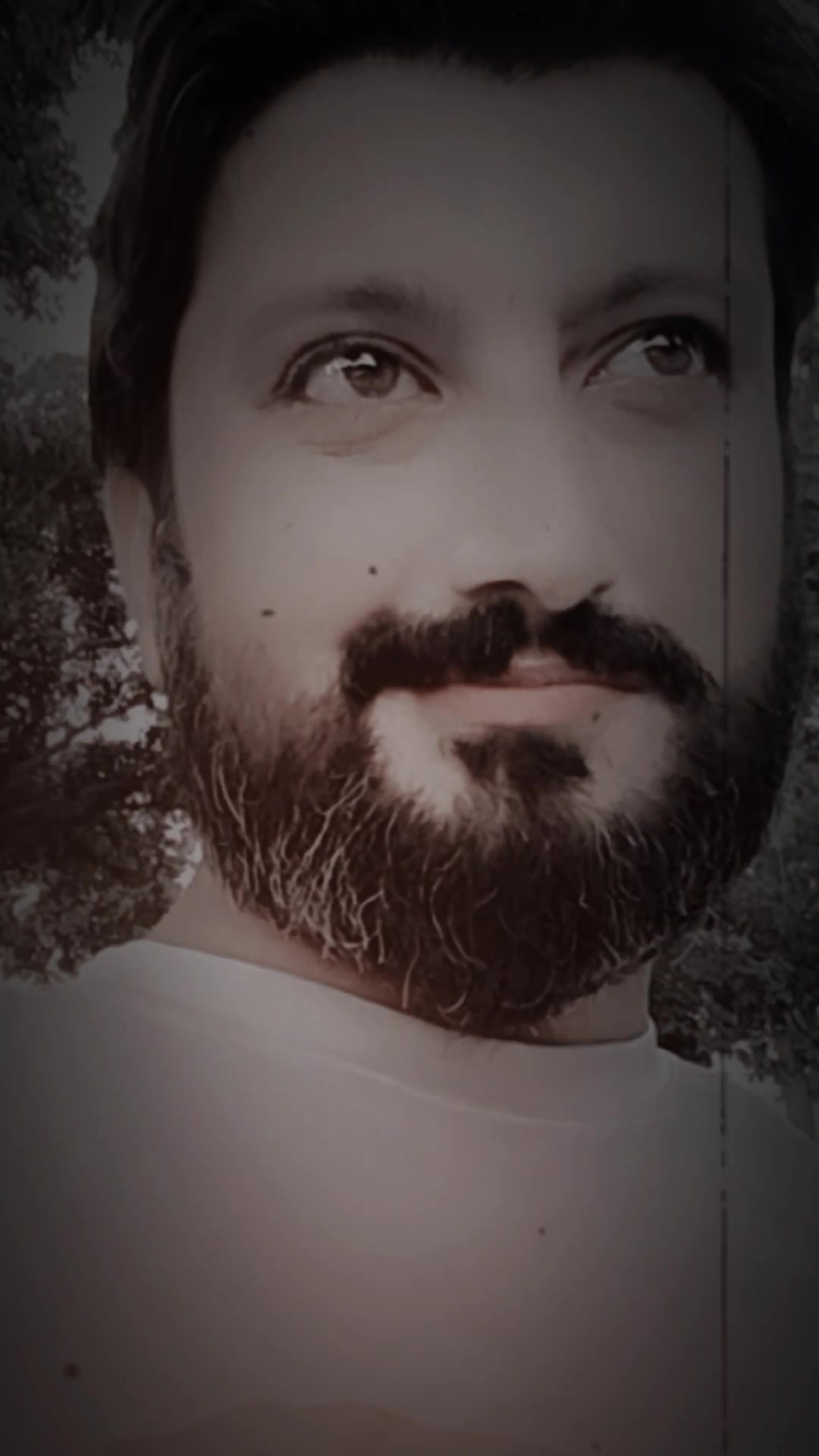@sheikh fahad