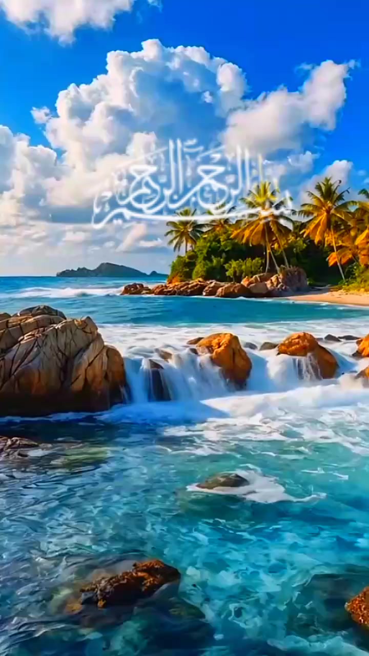 @Farida Far