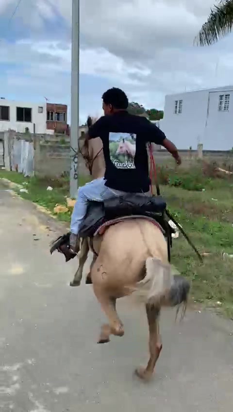 @El tal caballista ese 🤠
