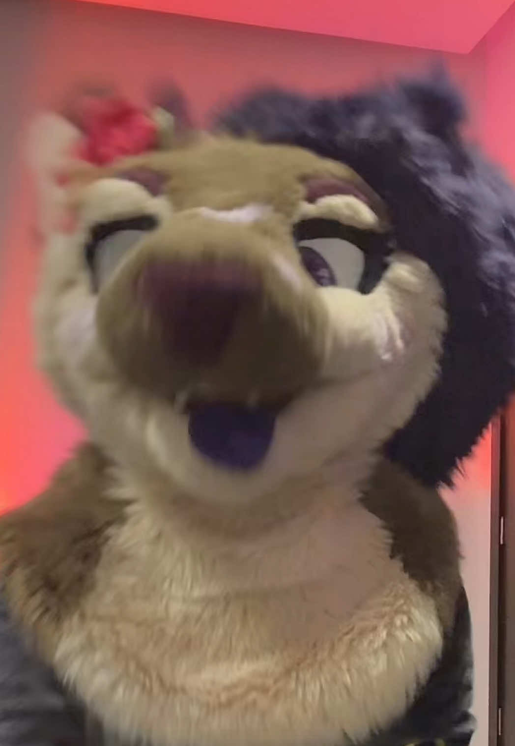 @Riley :3