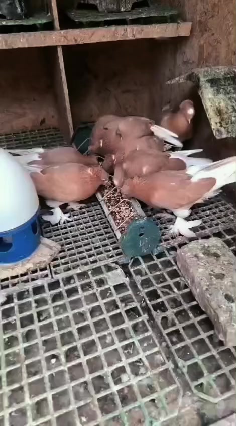@Özkan Ulurak