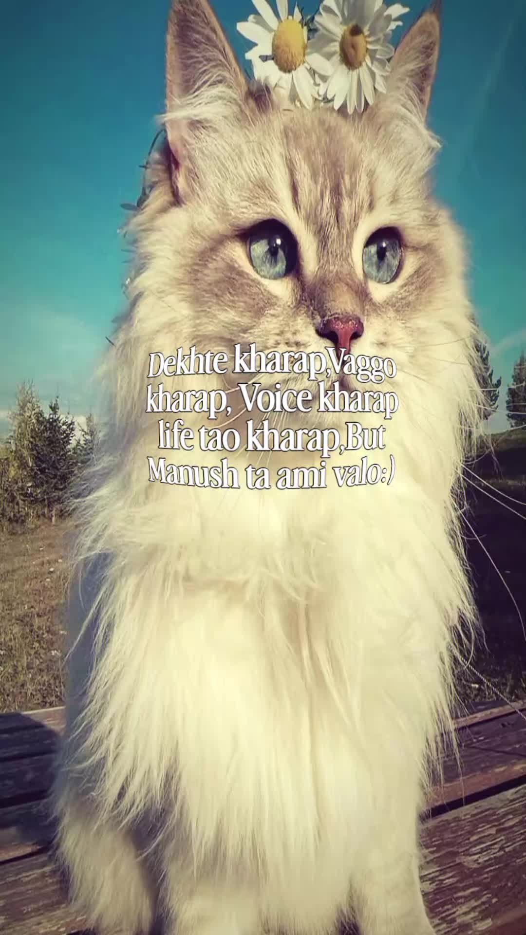 @#