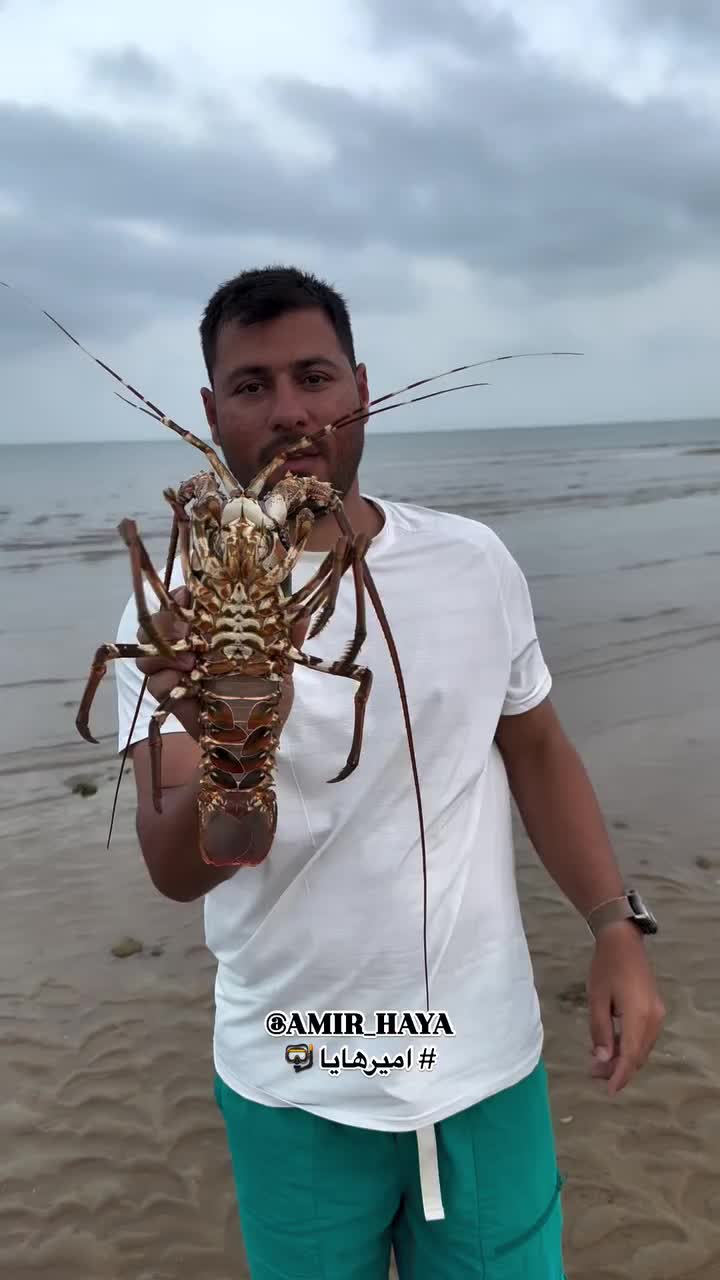 @Shahab Jaberi