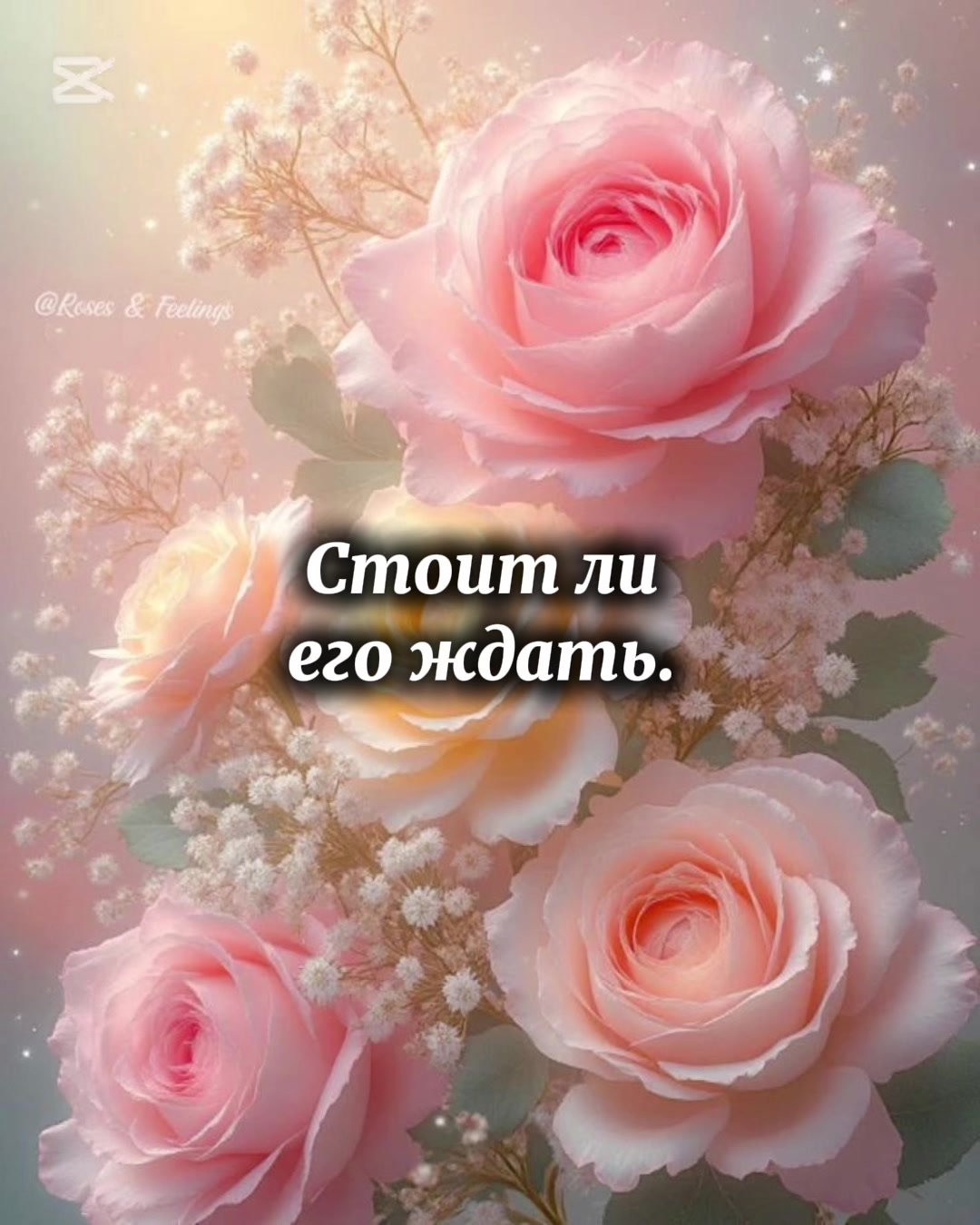 @Polli