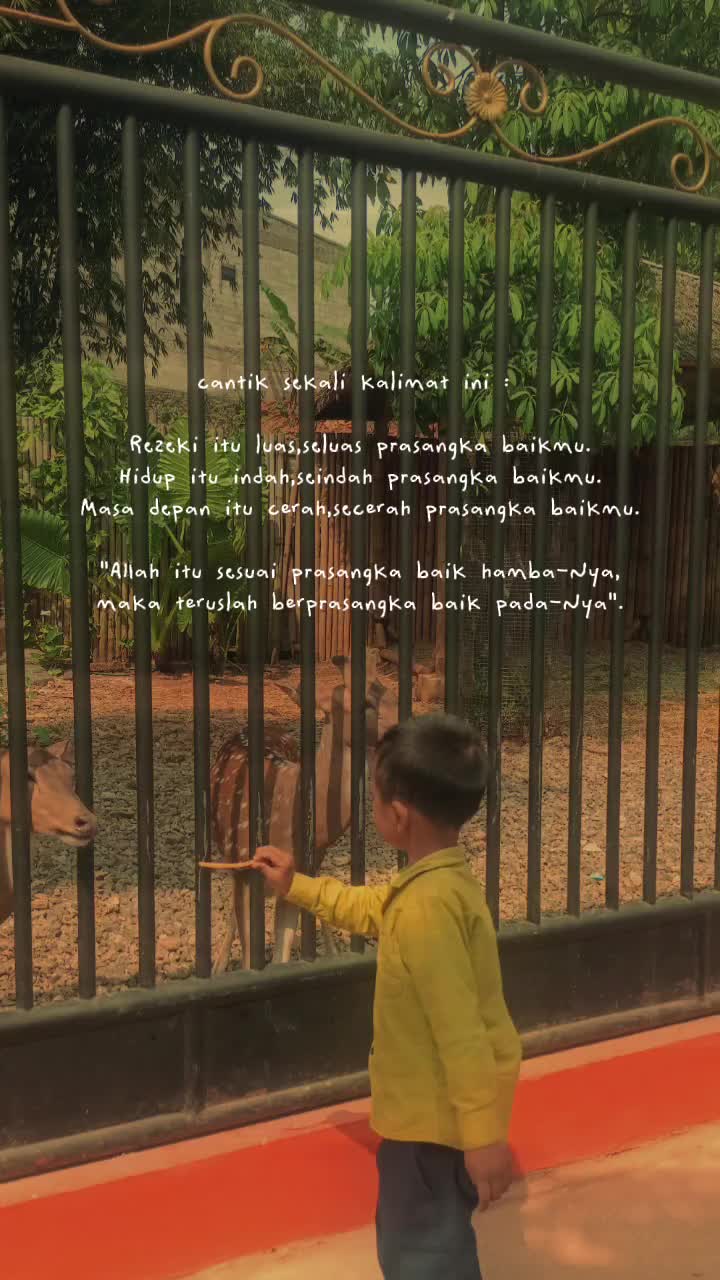 @Lingga