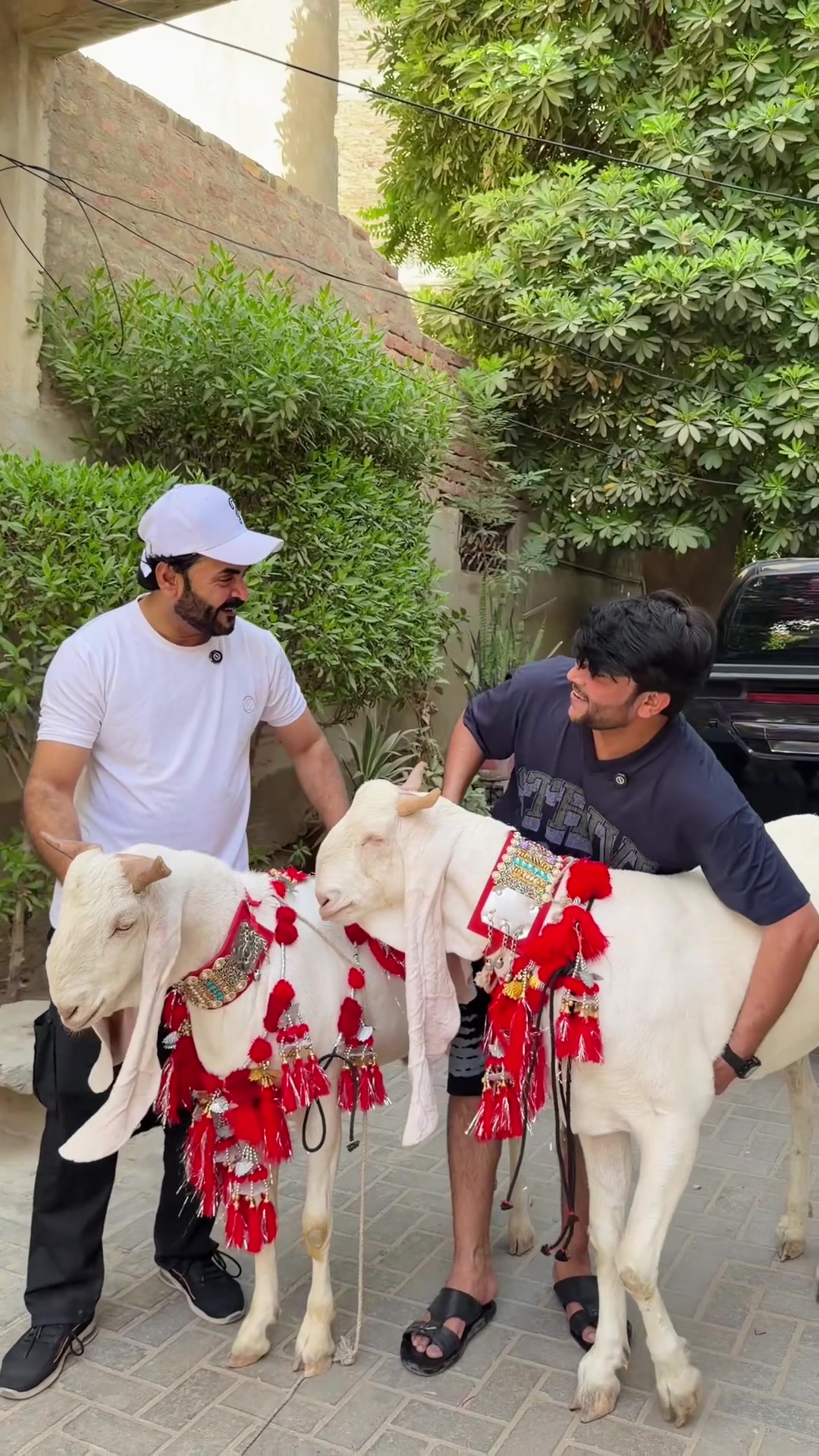 @Ali_Hyderabadi ❤️