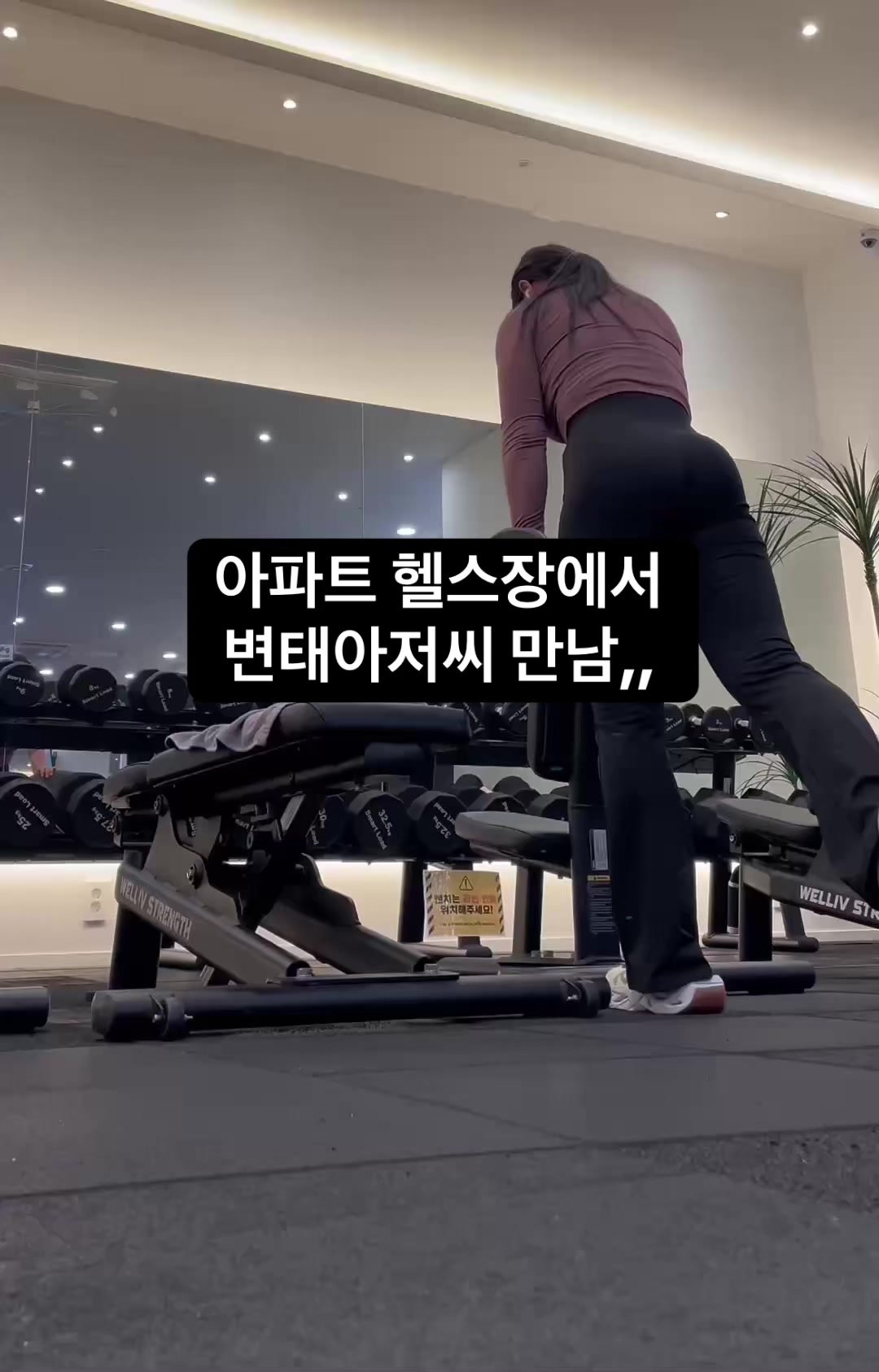 @쑤
