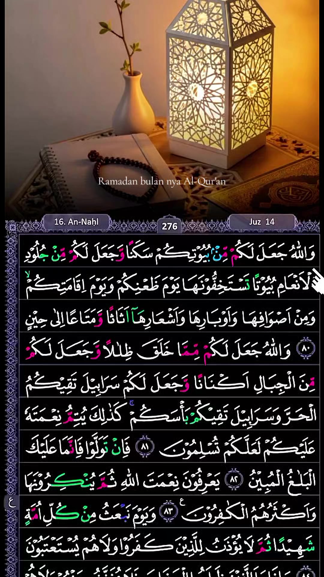 @Tiada Tuhan selain Allah
