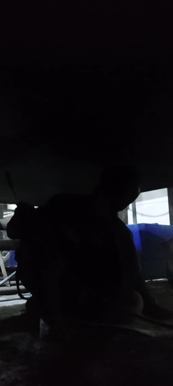 @Владислав