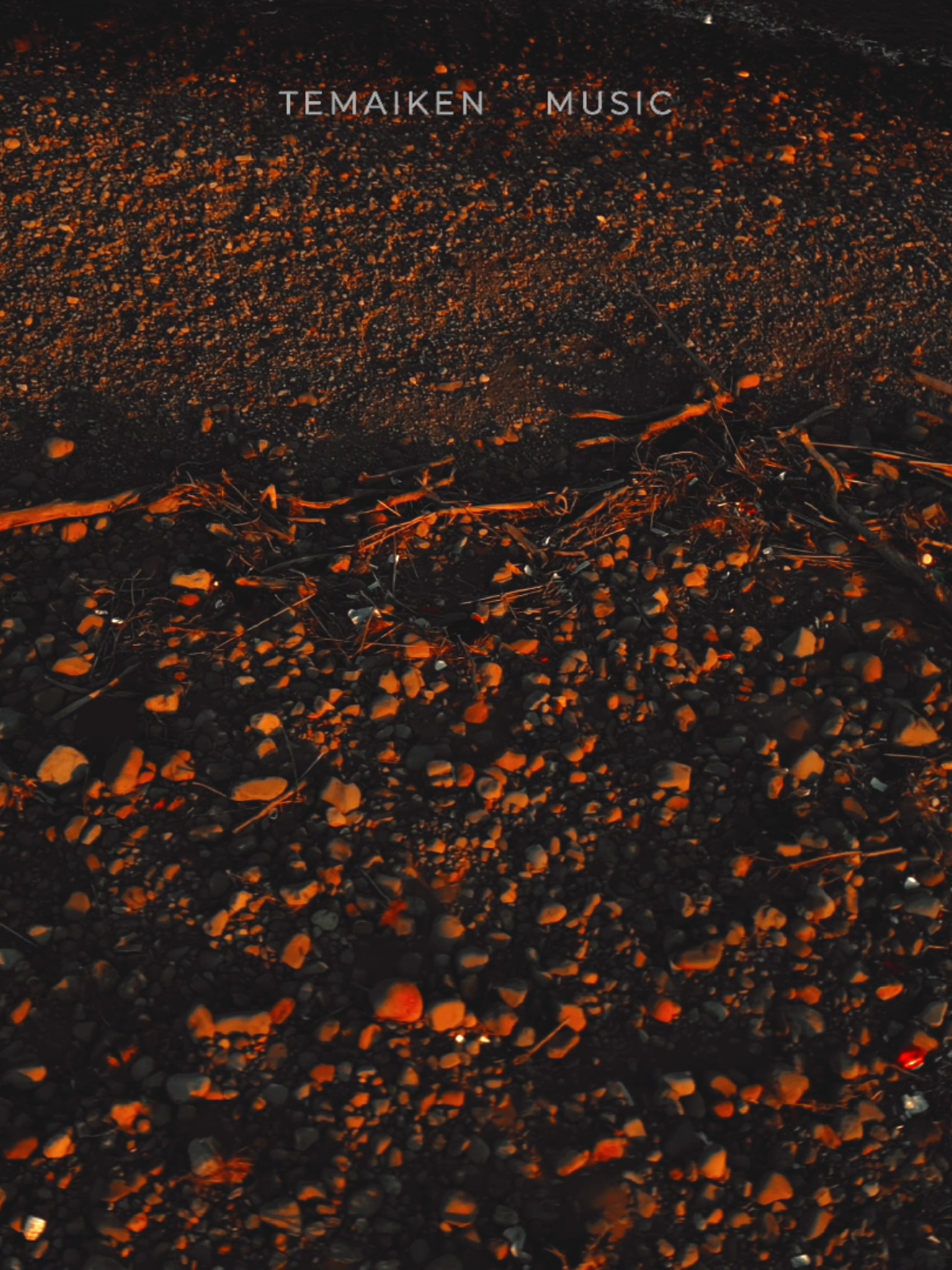 @Temaiken Memete