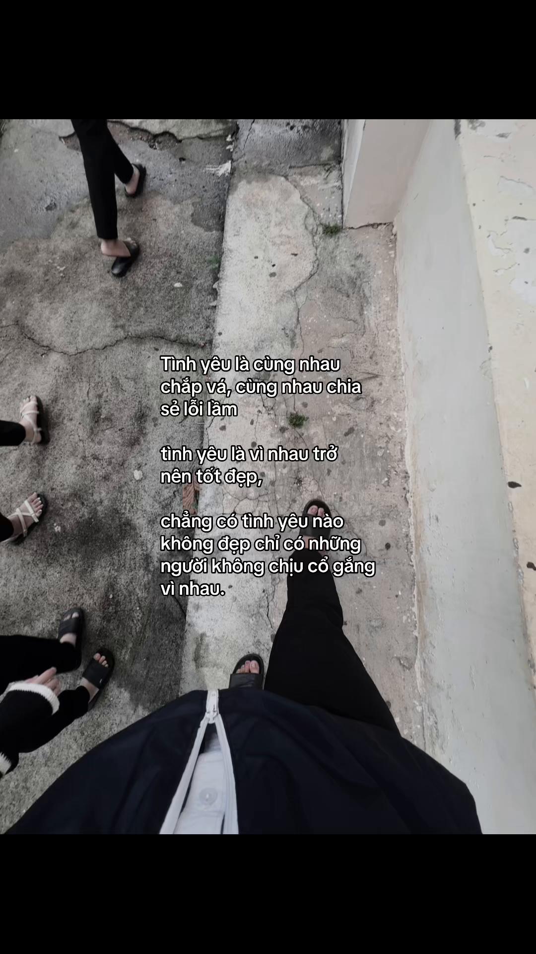 @๐๐ข๐ฏ๐จ๐๐ฉ๐ฐ๐ข