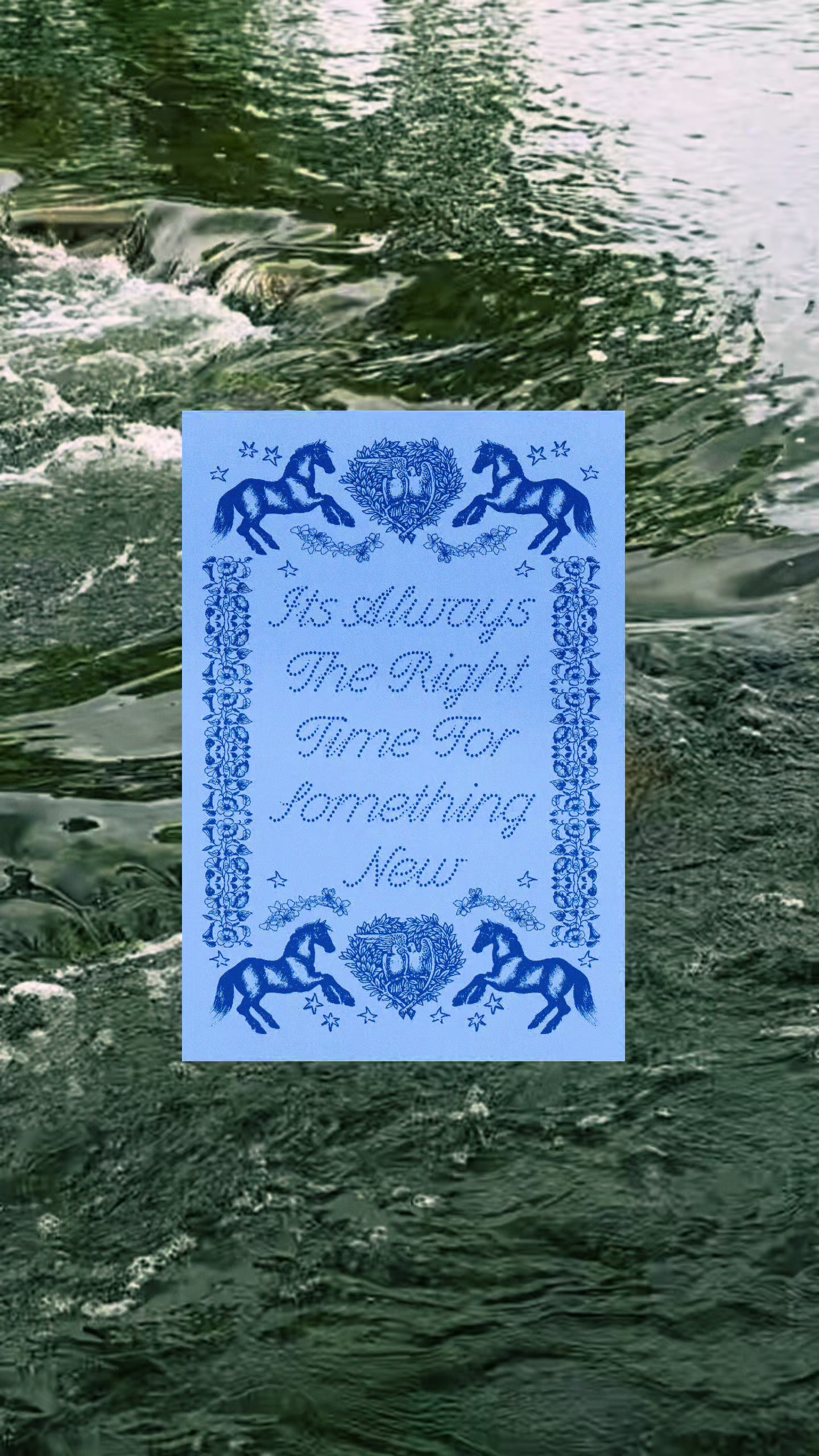 @paulina | delicate type