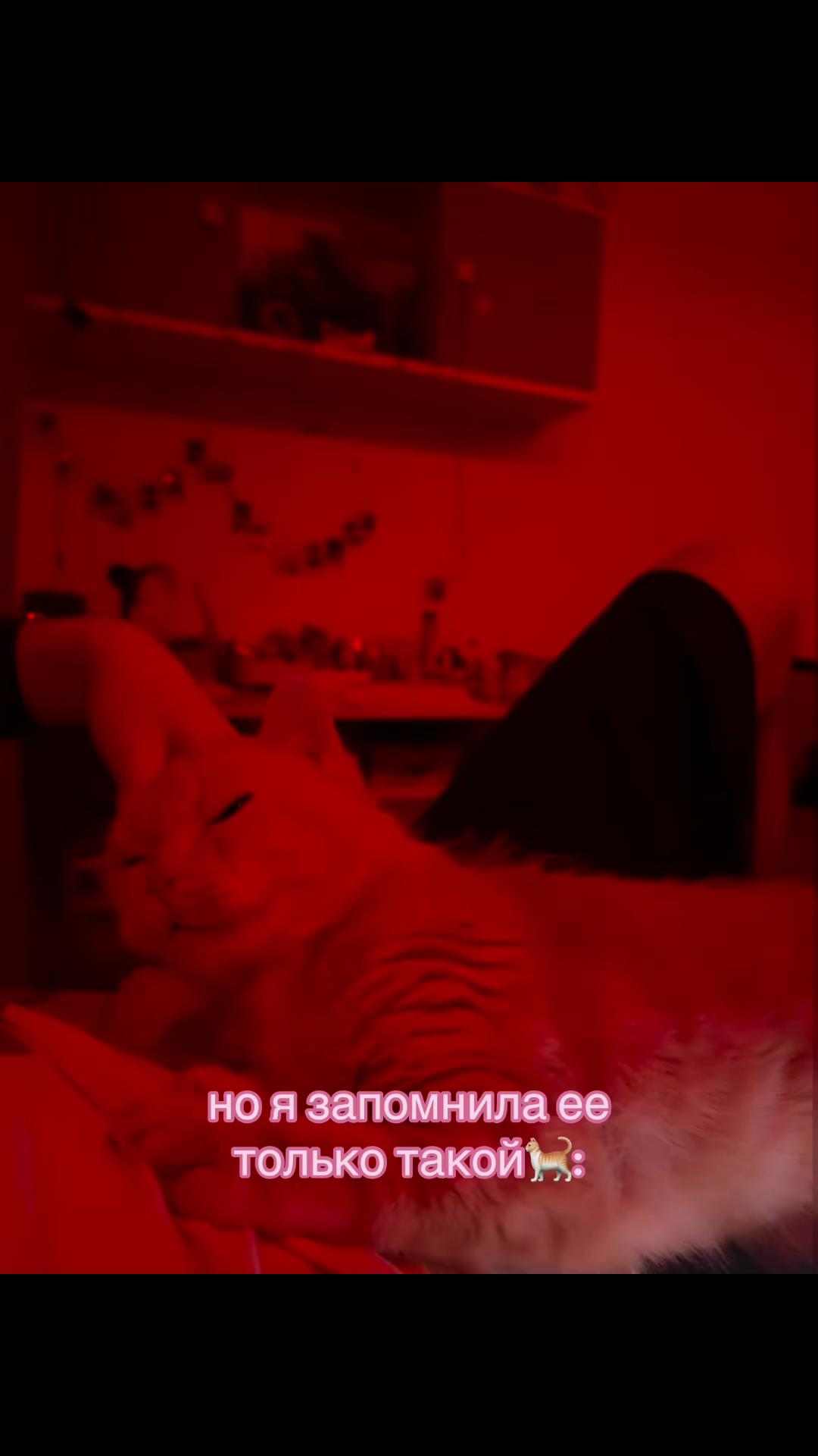 @v_zaushkina