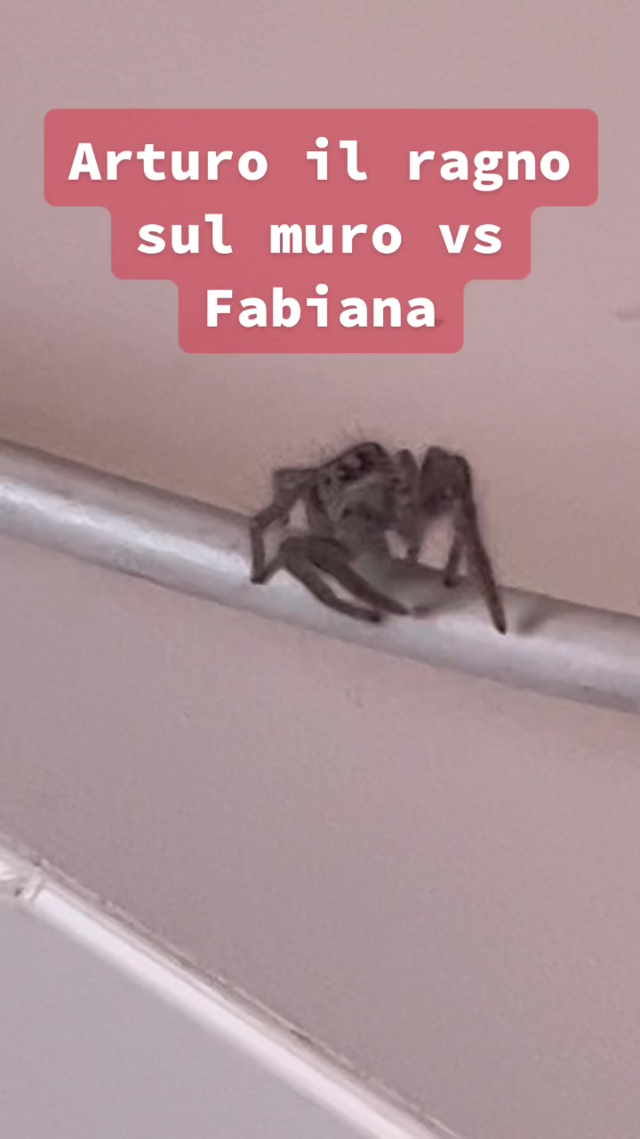 @Fabiana trerè