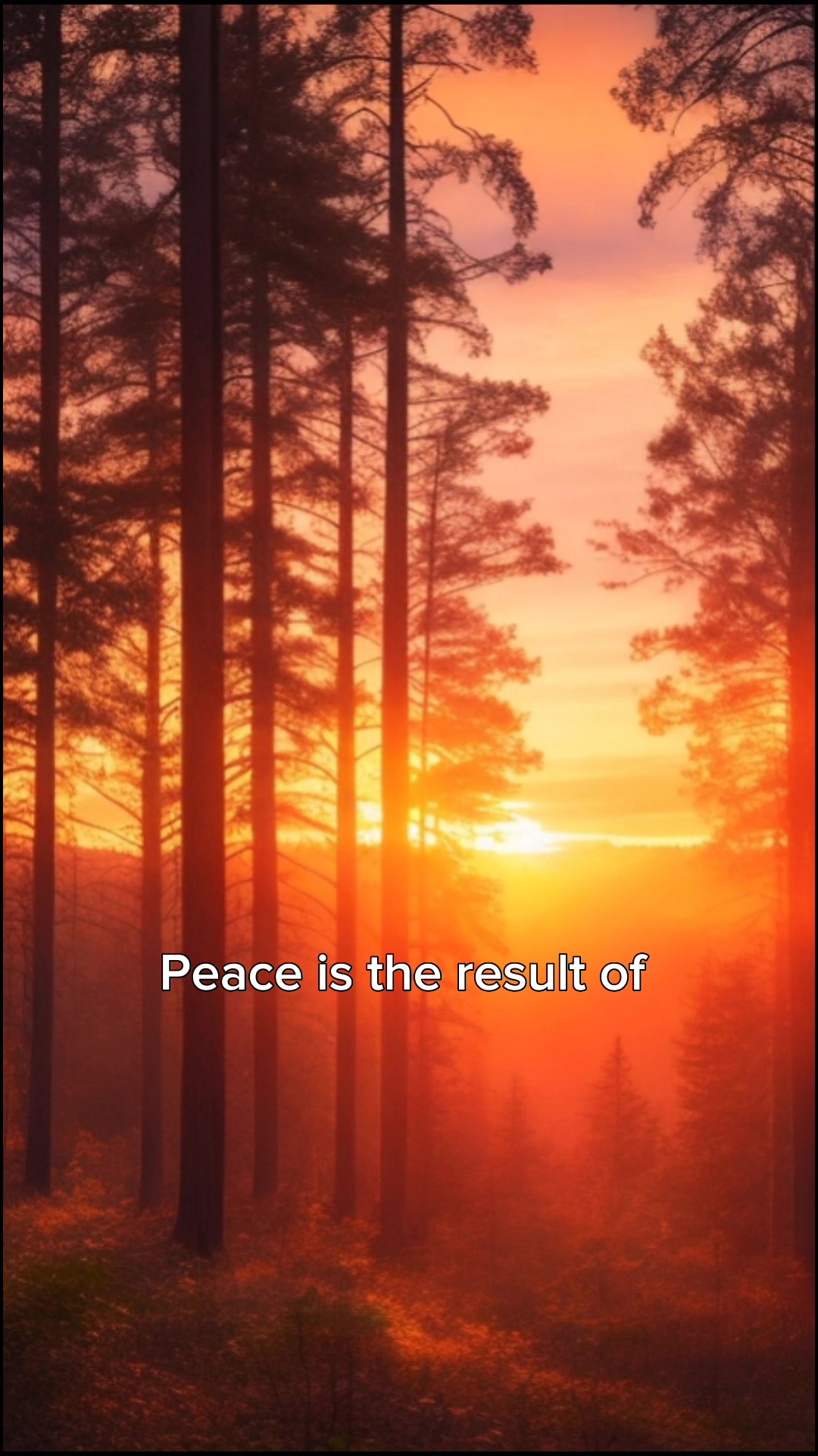 @Inner Peace Reflections