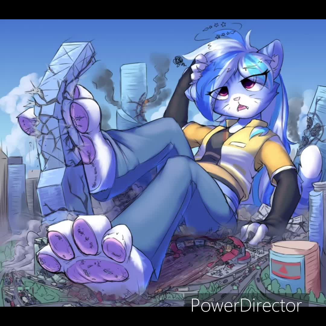 @HOLO LYNX STUDIOS