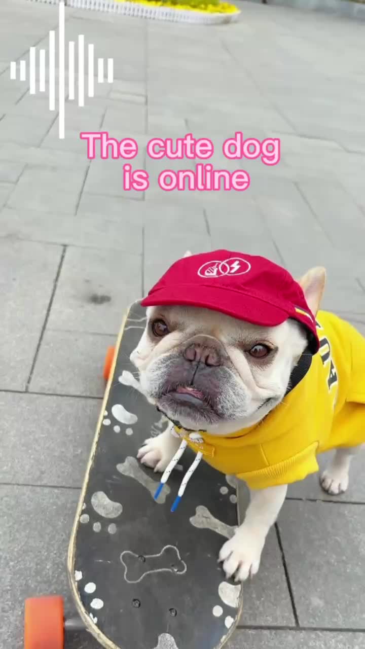 @Meng Chong blogger