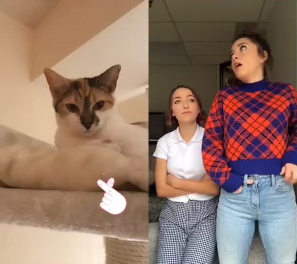 @Little Nala