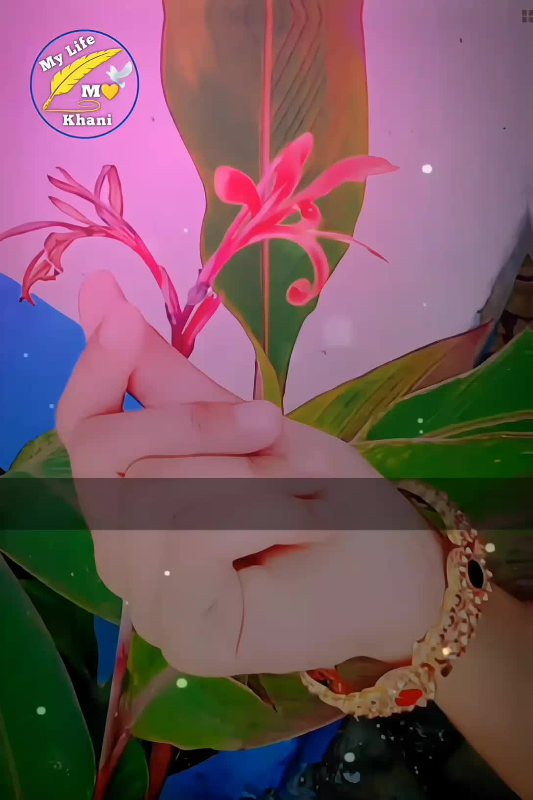 @➳⃝🦋🇲 𝐊𝐇𝐀𝐍𝐈๛ ⍣⃝  🕊