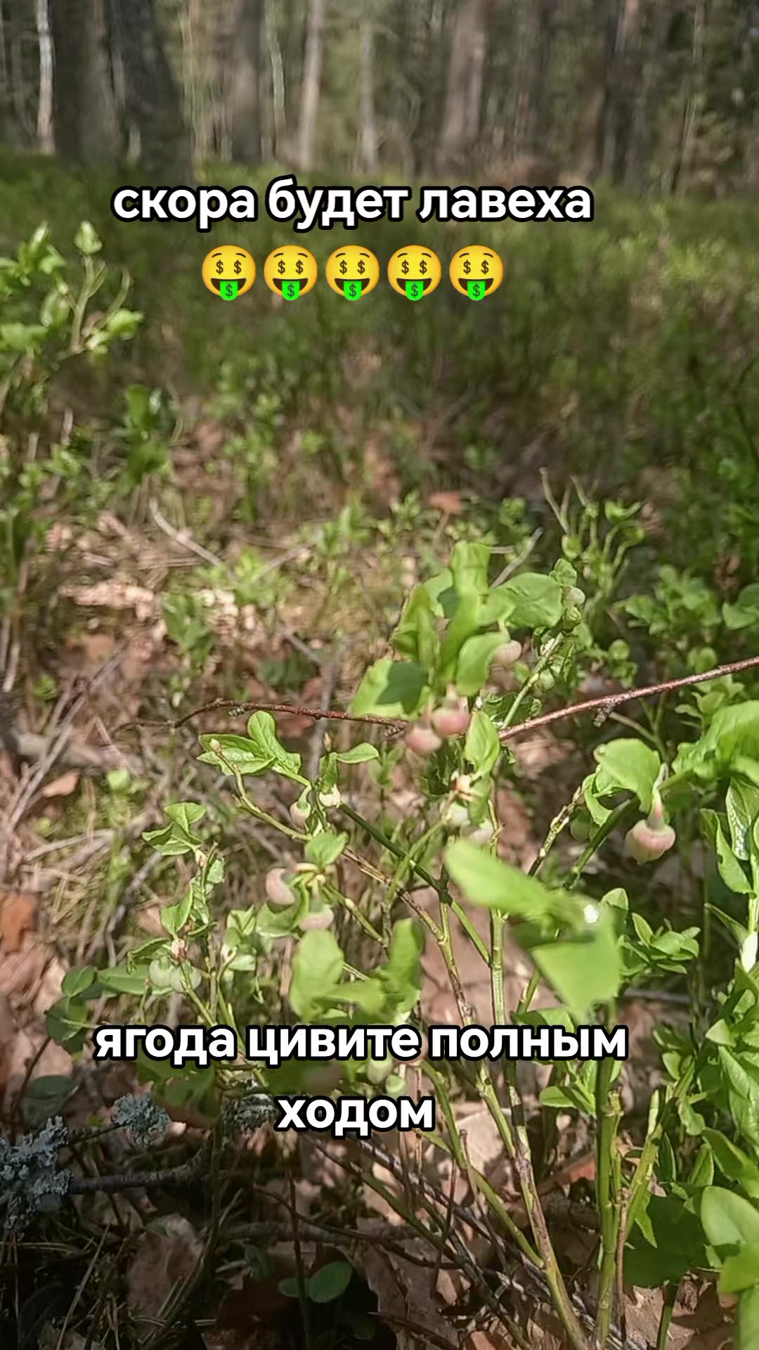 @В@ня
