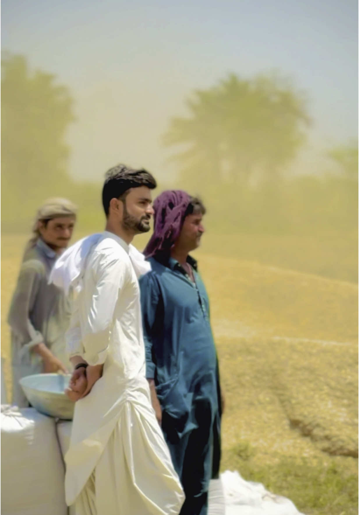 @⚜️ بروہی عاقب ⚜️