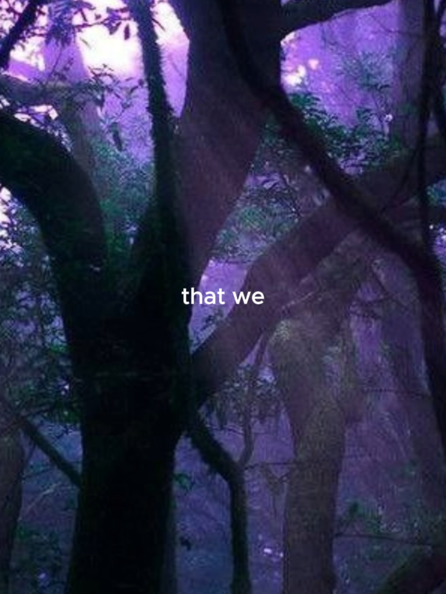@aurora