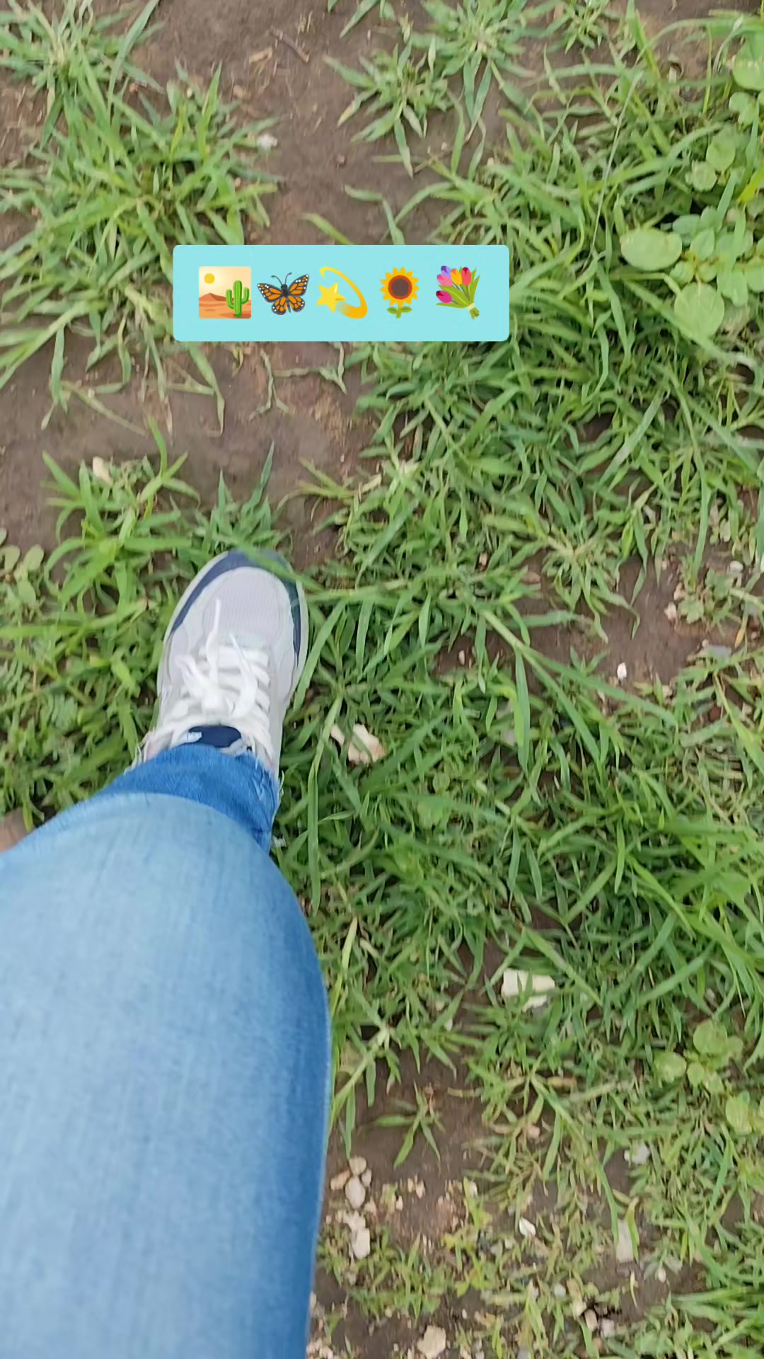 @🌻C🍀h🌹i💫o🦋