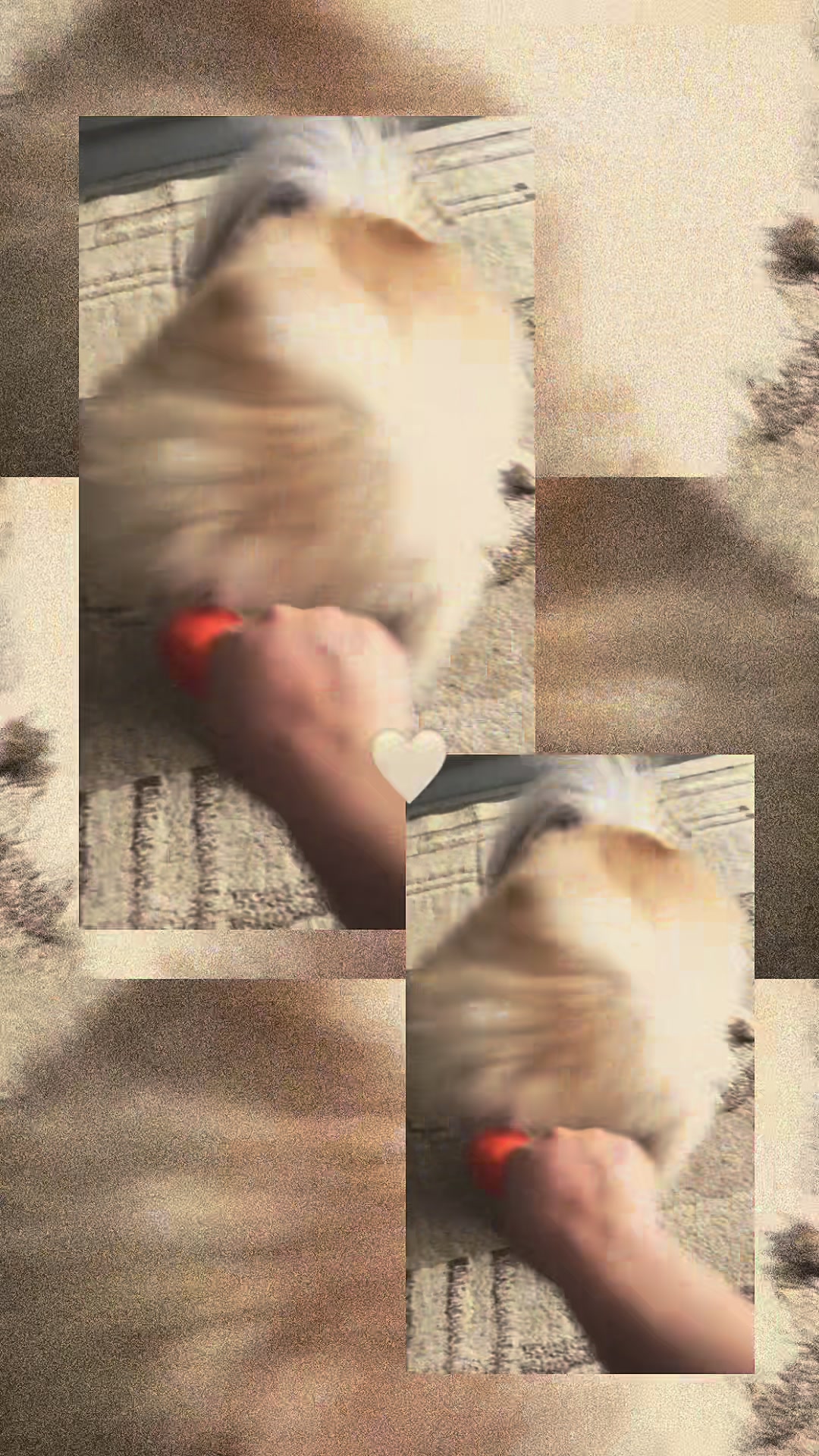 @𝓨𝓪𝓷𝓪 𝓜