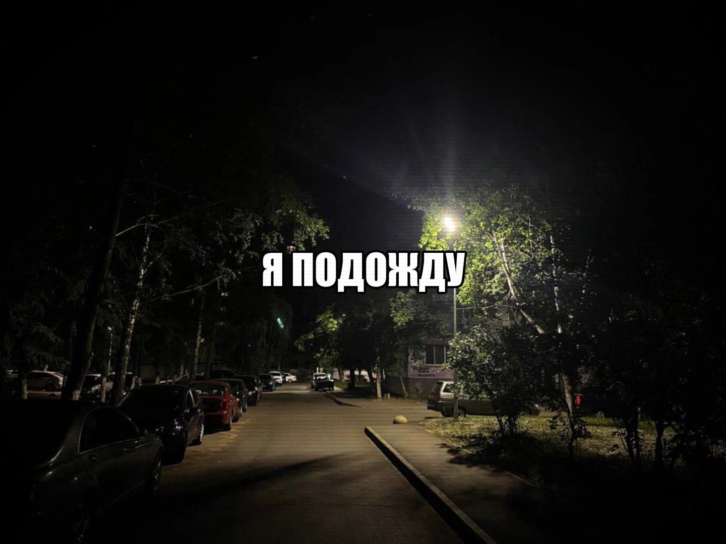 @ikraposev