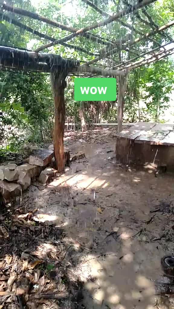 @satyam shukla