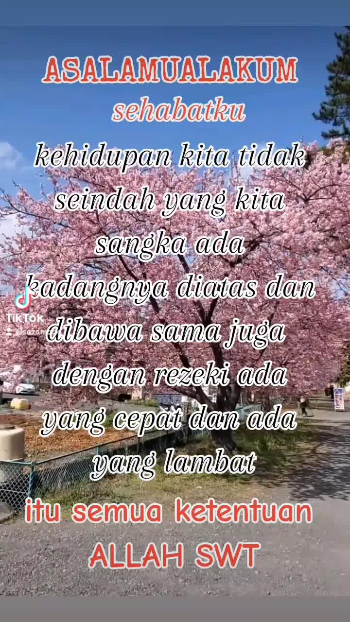 @saza mock