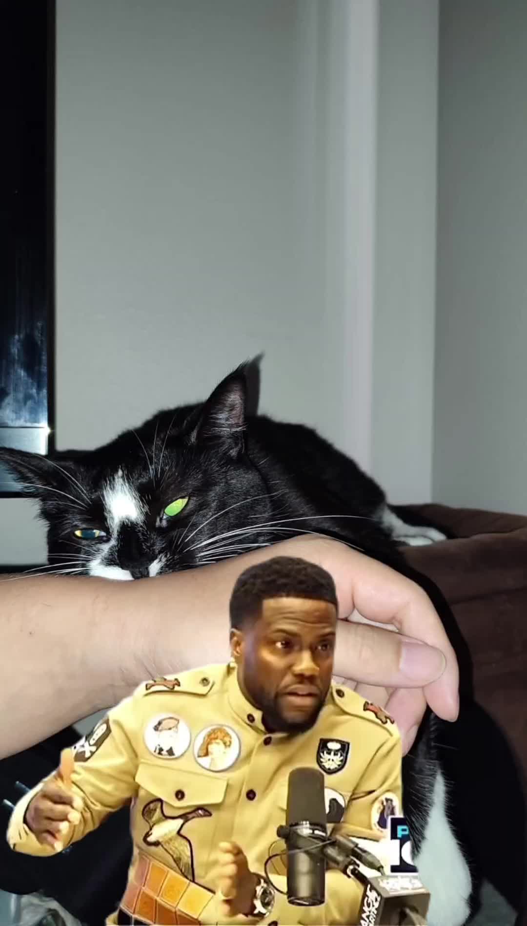 @ondatoylet